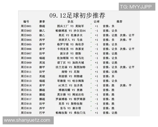 尼斯与南特最新比赛数据分析及战绩对比